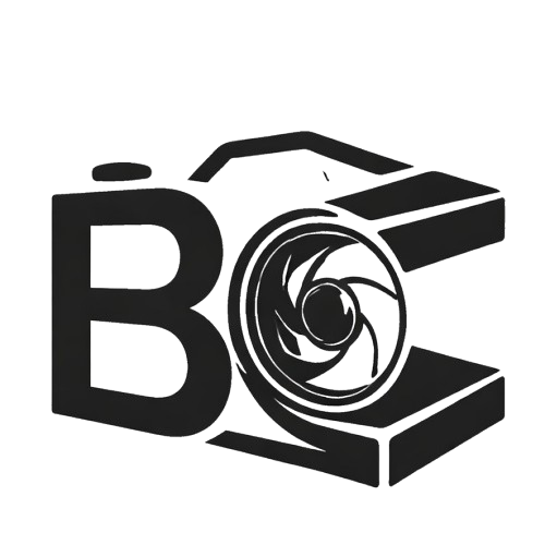Bala logo